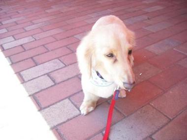 ファイル 386-2.jpg