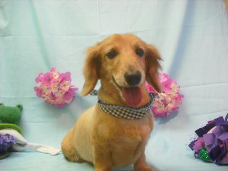 ファイル 3861-1.jpg