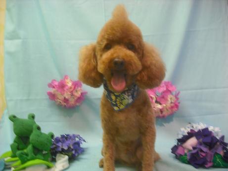 ファイル 3862-1.jpg