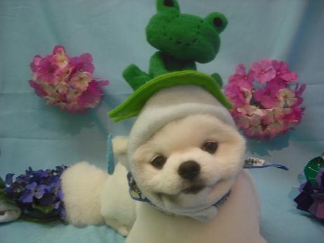 ファイル 3864-1.jpg