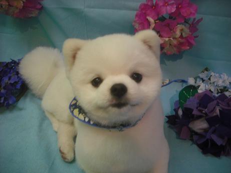 ファイル 3864-2.jpg