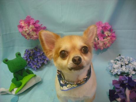 ファイル 3865-2.jpg