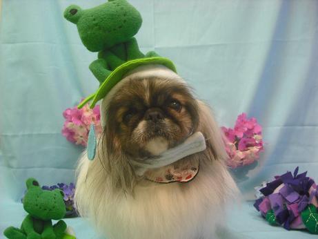 ファイル 3866-1.jpg