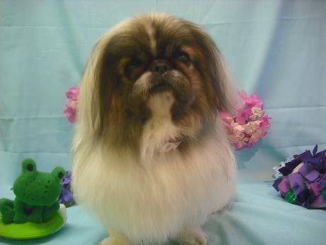 ファイル 3866-2.jpg