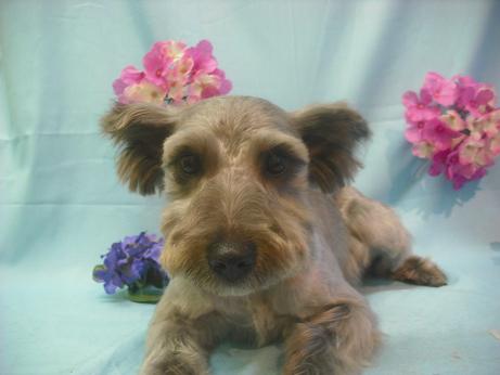 ファイル 3867-2.jpg