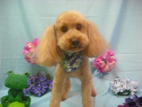 ファイル 3868-2.jpg