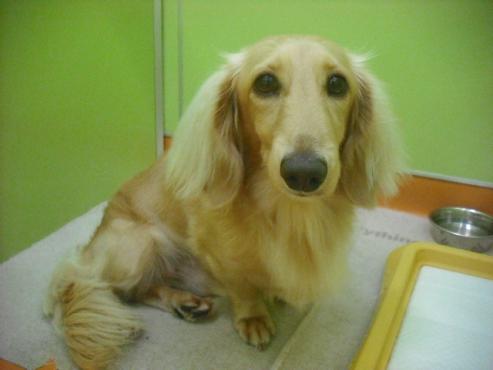 ファイル 387-1.jpg