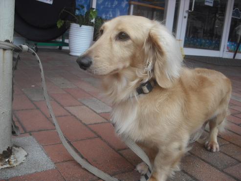 ファイル 387-2.jpg