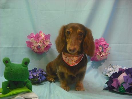 ファイル 3870-2.jpg