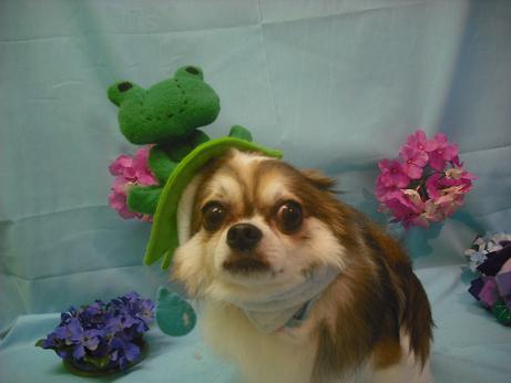 ファイル 3871-2.jpg