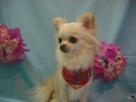 ファイル 3872-2.jpg