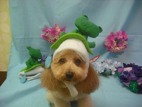 ファイル 3873-1.jpg