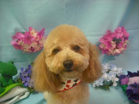 ファイル 3873-2.jpg