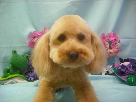 ファイル 3874-2.jpg