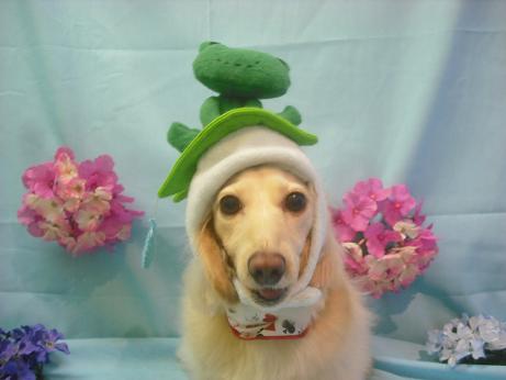 ファイル 3875-1.jpg