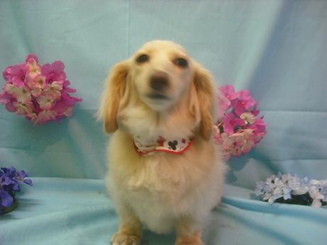 ファイル 3875-2.jpg