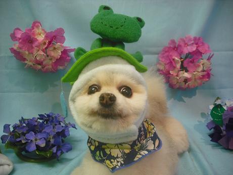 ファイル 3877-1.jpg