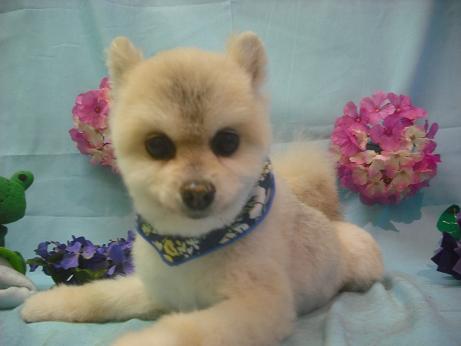 ファイル 3877-2.jpg