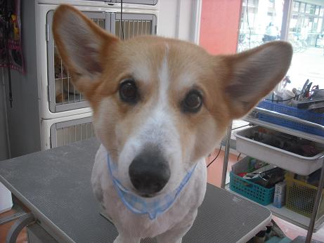 ファイル 3878-2.jpg