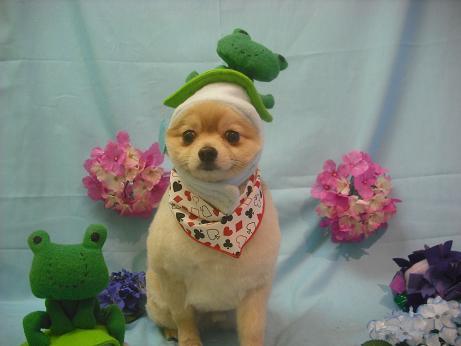 ファイル 3879-1.jpg