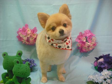 ファイル 3879-2.jpg