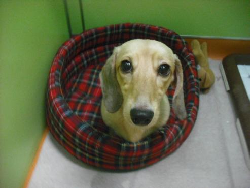 ファイル 388-1.jpg