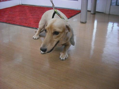 ファイル 388-2.jpg