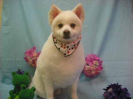 ファイル 3880-2.jpg