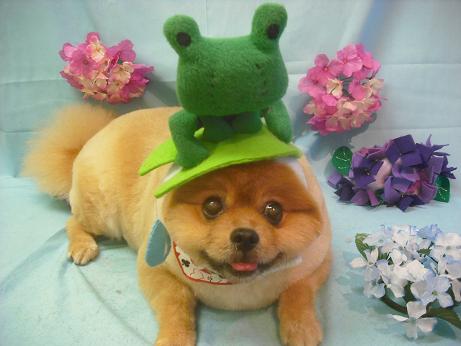 ファイル 3881-1.jpg