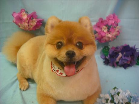 ファイル 3881-2.jpg