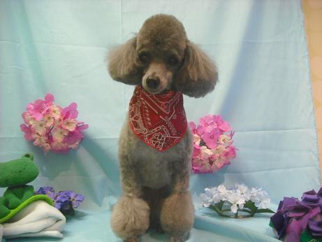 ファイル 3885-2.jpg