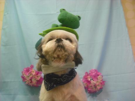 ファイル 3886-1.jpg