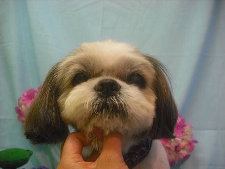 ファイル 3886-2.jpg