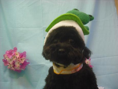 ファイル 3887-1.jpg