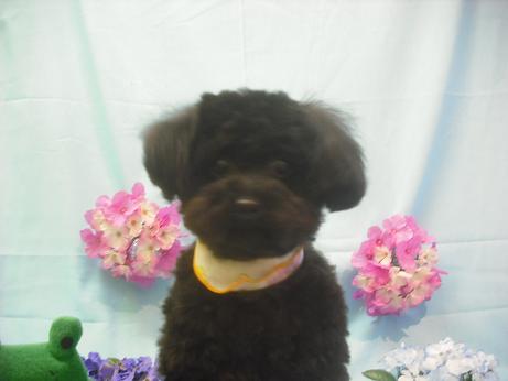 ファイル 3887-2.jpg