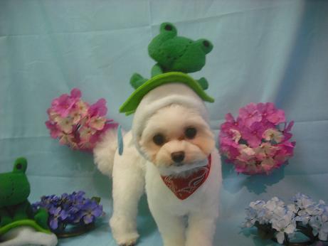 ファイル 3888-1.jpg