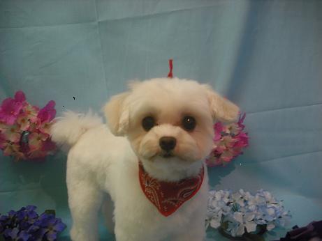 ファイル 3888-2.jpg