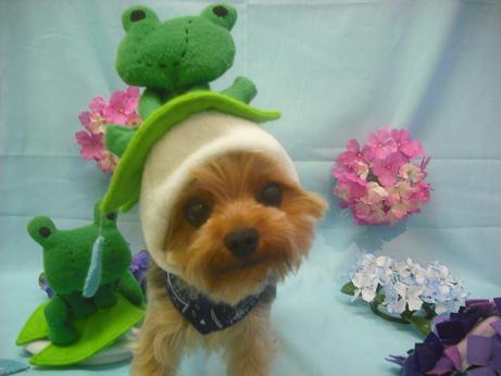 ファイル 3889-1.jpg