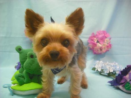 ファイル 3889-2.jpg