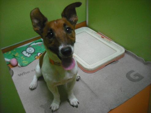 ファイル 389-2.jpg