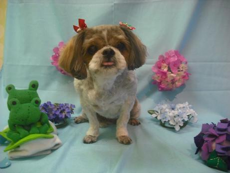 ファイル 3890-2.jpg