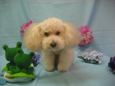 ファイル 3891-2.jpg