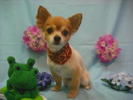 ファイル 3892-2.jpg