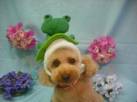 ファイル 3893-1.jpg