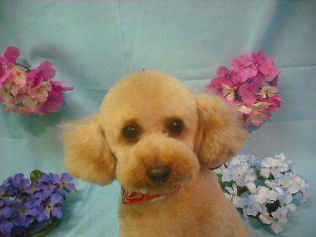 ファイル 3893-2.jpg