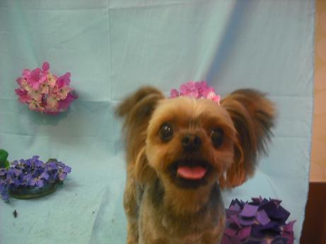 ファイル 3894-2.jpg