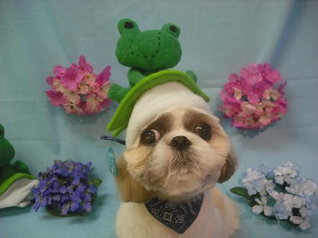 ファイル 3895-1.jpg