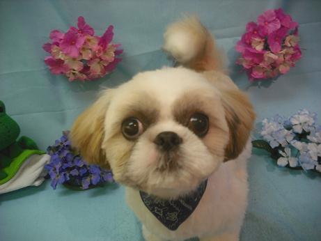 ファイル 3895-2.jpg