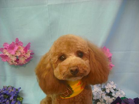 ファイル 3896-2.jpg