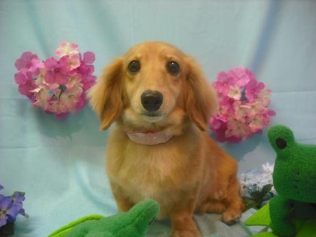 ファイル 3897-1.jpg